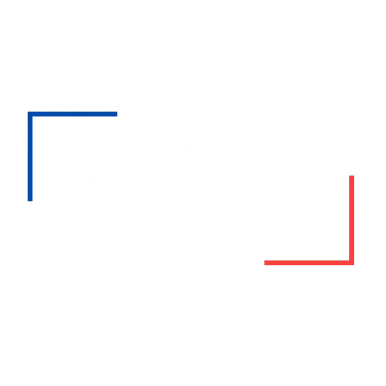Visual Facilitation